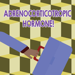 Conceptual hand writing showing Adrenocorticotropic Hormone. Concept meaning hormone secreted by pituitary gland cortex Rushing Businessman Swayed Back and Holding Briefcase