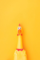 Shocked chicken toy is isolated on a yellow background, looks into the camera and yells. Toy...