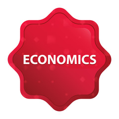 Economics misty rose red starburst sticker button