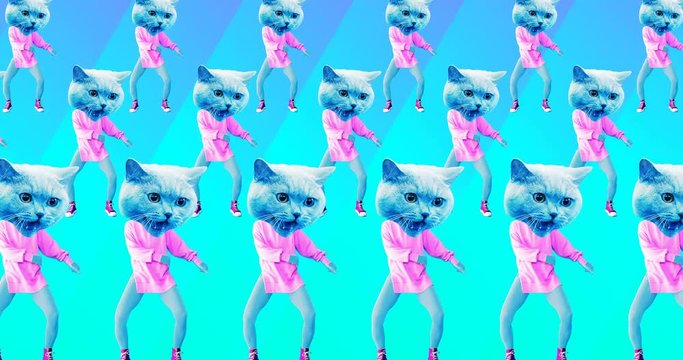 Minimal animation design. Kitty sport dancing vibes.Cat power