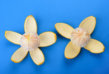 Two peeled oranges isolated on blue background. Orange peel as petals.