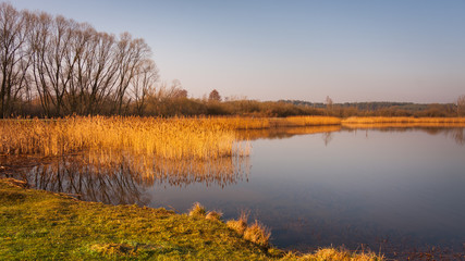 Wiosenny poranek nad jeziorem © Mariusz Stoszewski