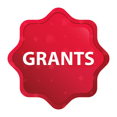 Grants misty rose red starburst sticker button