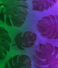 Palm tree leaves carved from paper on duotone background.