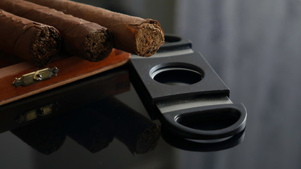 Open humidor with cigars and cigar cutter