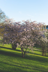 Fototapeta premium couleur de saison