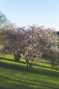 couleur de saison