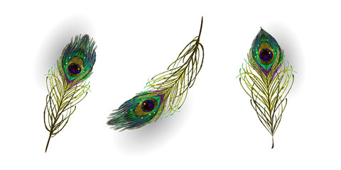 Beautiful collection of vector realistic peacock feathers for online shopping, advertising actions, magazines and websites. Vector illustration.