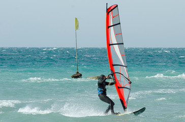 sportman windsurfer