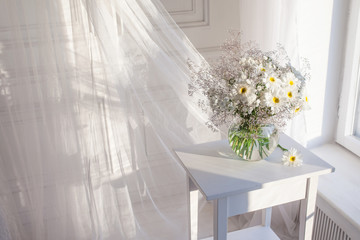 Glass vase  white camomile floweers  in light cozy bedroom interior. White wall, sunlight from window, copy space