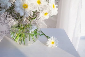 White camomile floweers  in light cozy bedroom interior. White wall, sunlight from window, copy space. Close up picture