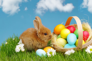 Little Bunny In Basket With Decorated Eggs. Easter Holyday Concept.