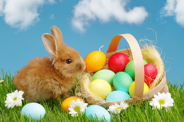 Little Bunny In Basket With Decorated Eggs. Easter Holyday Concept.
