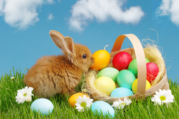 Little Bunny In Basket With Decorated Eggs. Easter Holyday Concept.