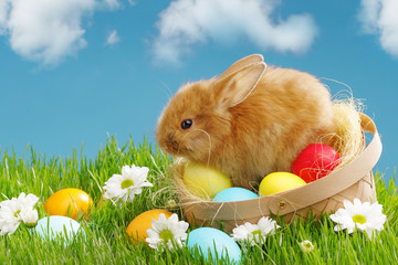 Little Bunny In Basket With Decorated Eggs. Easter Holyday Concept.