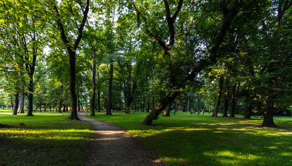 Jerzmanowski Park, Cracow, Poland