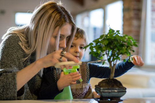 Mother and son trimming houseplant while sitting at home