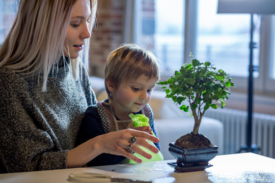 Mother and son looking at houseplant while sitting at home