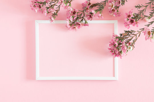 Beautiful flowers composition. Blank frame for text, pink flowers on pastel pink background. Valentines Day, Easter, Birthday, Happy Women's Day, Mother's day. Flat lay, top view, copy space