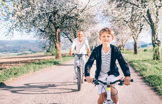 Father and son having fun when riding bicycles on country road under blossom trees. Healthy sporty lifestyle concept image.