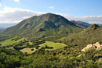 Veduta del Monte Ferru