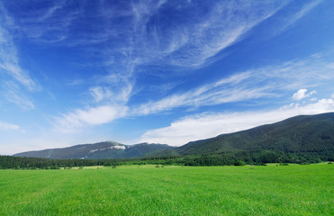 Landscape, view of green fields