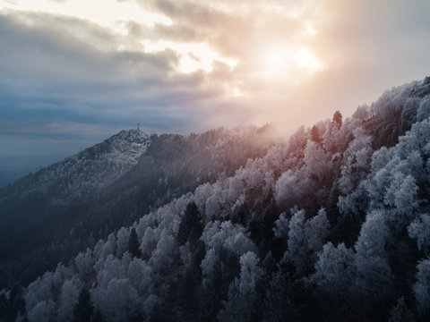 View of snow covered forest during sunset