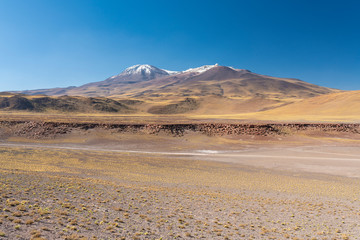 The amazing landscape views at Atacama Desert altiplano, at more than 4,000 masl is an impressive scenery of the desert going to an infinite horizon. Meadows full of grass going to the infinity. Chile