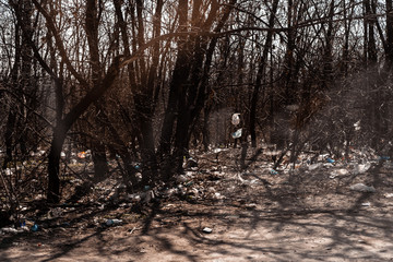 A lot of plastic trash on the side of the road among trees in spring. Environmental pollution