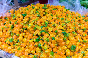 Habanero hot pepper at farmer's market