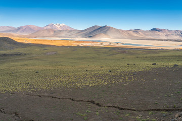 Amazing Andes Altiplano meadows and salt flats and lakes above 4,000 masl with amazing views over Andes mountains range. An idyllic and inspirational infinity landscape at Salar de Piedras Rojas

