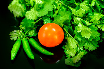 coriander leaves with a tomato and green chilli