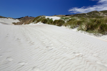Fototapeta na wymiar A spectacular sand dune at Sandfly Bay