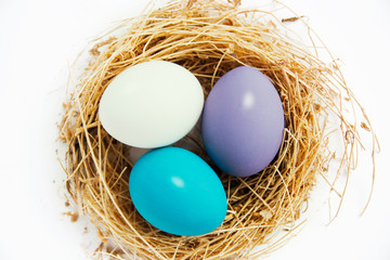 soft shades of purple and blue Easter eggs in the nest. happy easter wishes card  