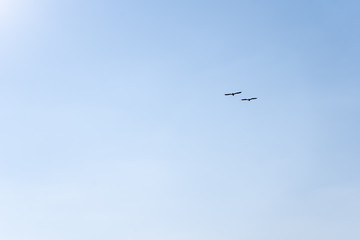 Birds flying to the sun in the cloudless blue sky