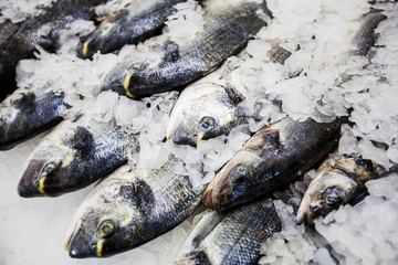 Raw seafood on ice at fish market