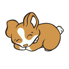 Welsh corgi dog breed vector illustration. Cute puppy lying down cartoon icon. Fluffy Corgi Pembroke relaxing, love dogs. Simple emblem for pet shop, zoo ads, animal food package. Corgi sleep