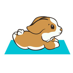 Welsh corgi dog practices yoga vector illustration. Cute corgi puppy in sport. Fluffy Corgi Pembroke, love dogs. Morning exercises on rug. Healthy lifestyle with funny puppy. Corgi lies on rug.