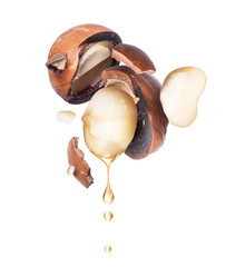 Oil of macadamia nut is dripping on a white background