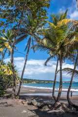 Fototapeta premium Plage de Grande Anse à Trois rivières en Guadeloupe
