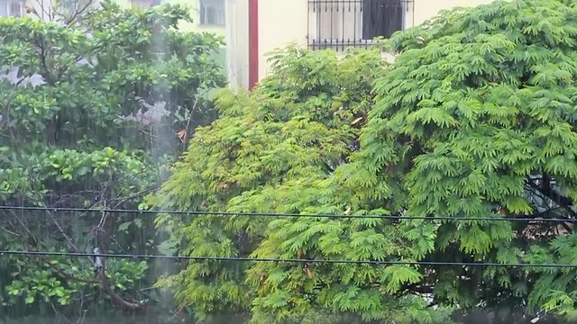 lluvia cayendo en la ciudad vista desde una ventana