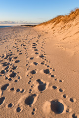 Footprints in Sand at Cape Cod National Seashore