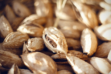 A handful of ripe untreated almonds in a strong shell, which in some places broke off. Nuts lie and are illuminated by the sun