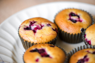 Homemade bluebberry muffins
