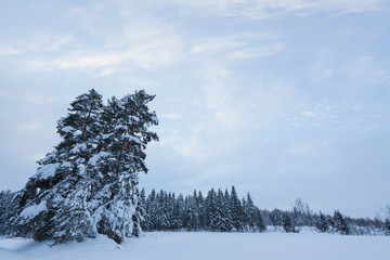 Winter landscape at countryside Finland