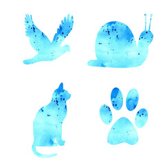 Watercolor set isolated on white background. Background watercolor. Bird, snail, cat, paw print blue.