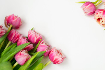 Pink flowers tulips bouquet of flowers on a white background.