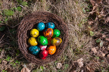 Painted Easter eggs in a nest on spring grass