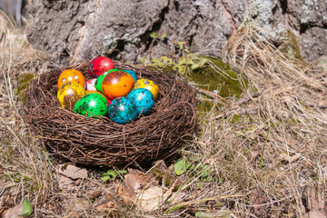 Painted Easter eggs in a nest on spring grass