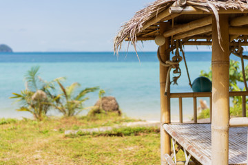 sea view with palm trees